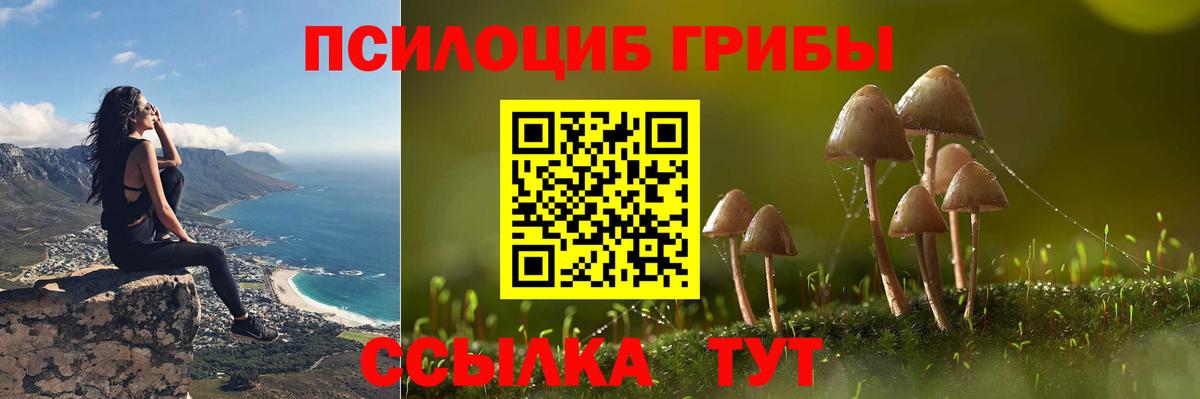 Псилоцибиновые грибы Magic Shrooms Асино